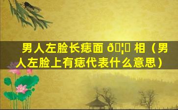 男人左脸长痣面 🦅 相（男人左脸上有痣代表什么意思）